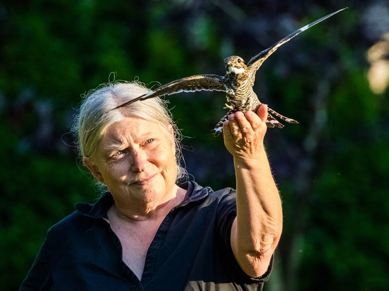 Powell River Orphaned Wildlife Society