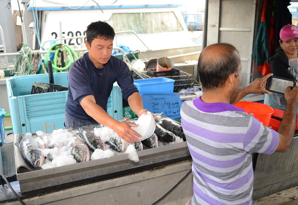 Sockeye sales aplenty at Fisherman's Wharf as big spawning run holds up for now_12