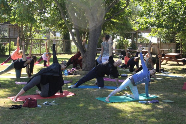 yoga