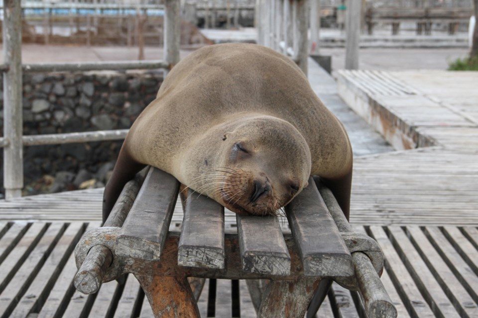 sleep