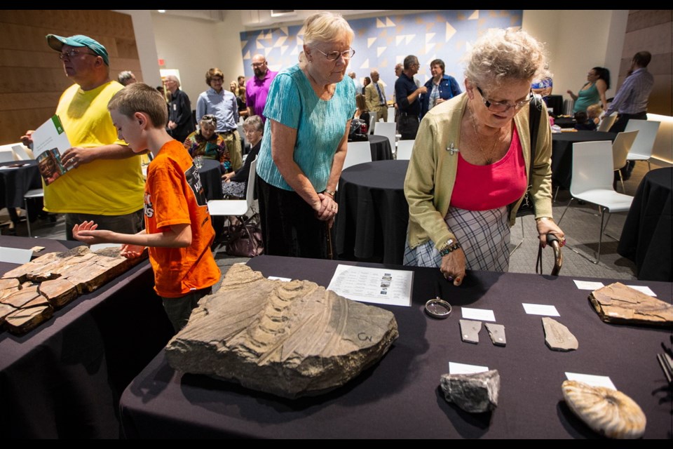 The Royal B.C. Museum has received one of its largest-ever donations &Ntilde; finds from the McAbee fossil beds.