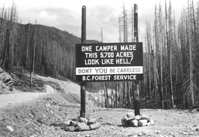 forest fire billboard 1950