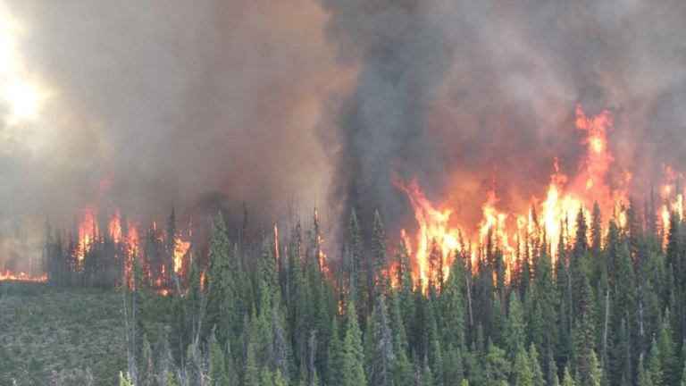 Smoky-skies-bulletin-update.jpg