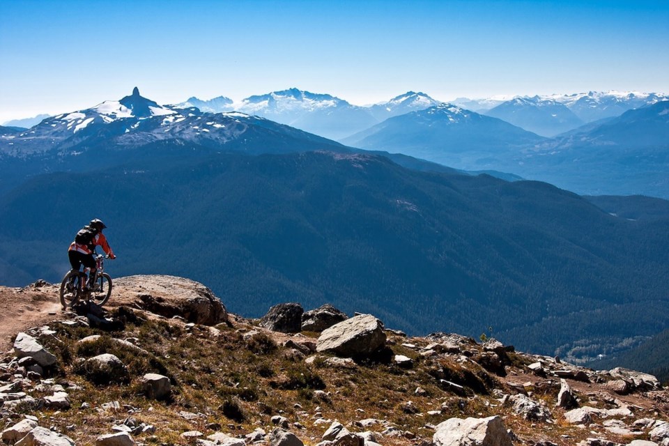 Whistler view mountainbiker