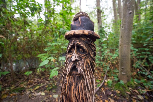 Residents have spotted a collection of whimsical wood carvings on the trails in Ladner Marsh.