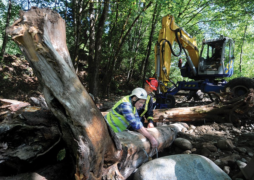 Lynn Creek streamkeepers