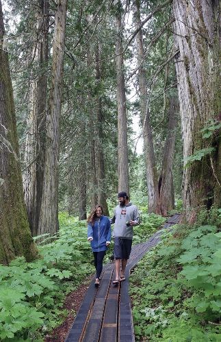 shuttle-bus-Ancient-Forest..jpg