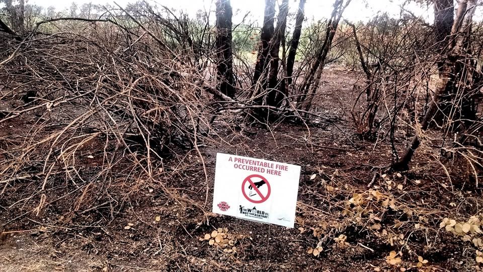 Shell Road Trail fire