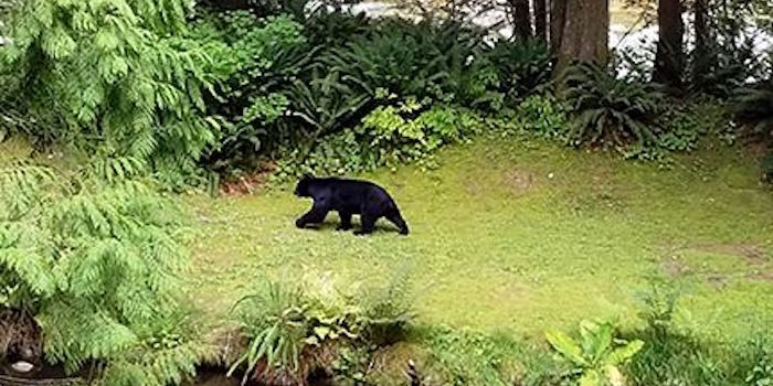 Metro Vancouver Regional Parks issued a warning Thursday morning that affects the Varley Trail and t
