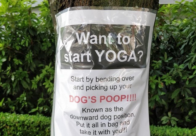 Dog waste PSA Yaletown