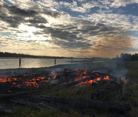 Garry Point Park fire