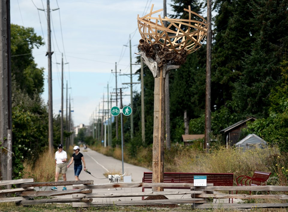 nesting nest arbutus greenway