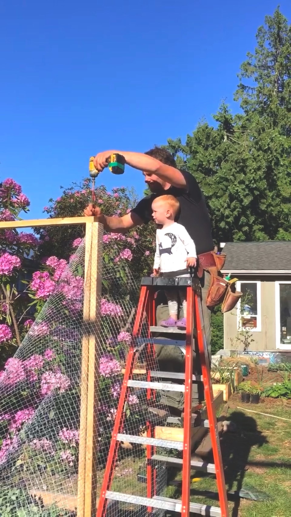 Pearl and her father on a ladder.