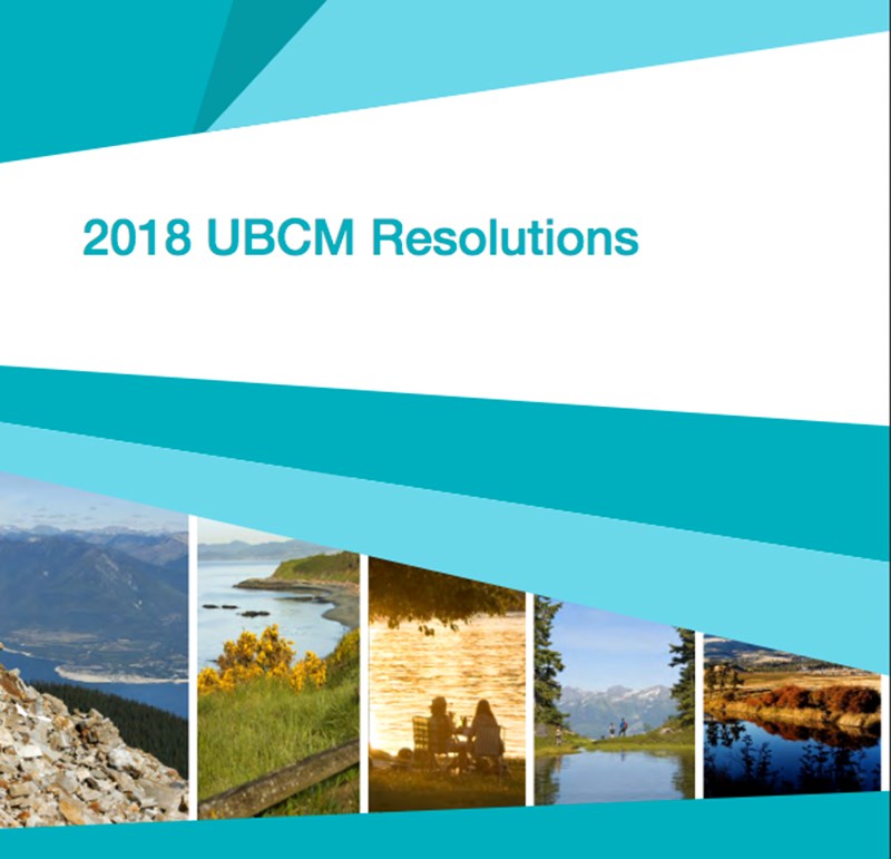 UBCM resolutions book
