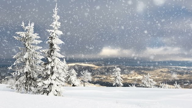 snow in northern b.c.