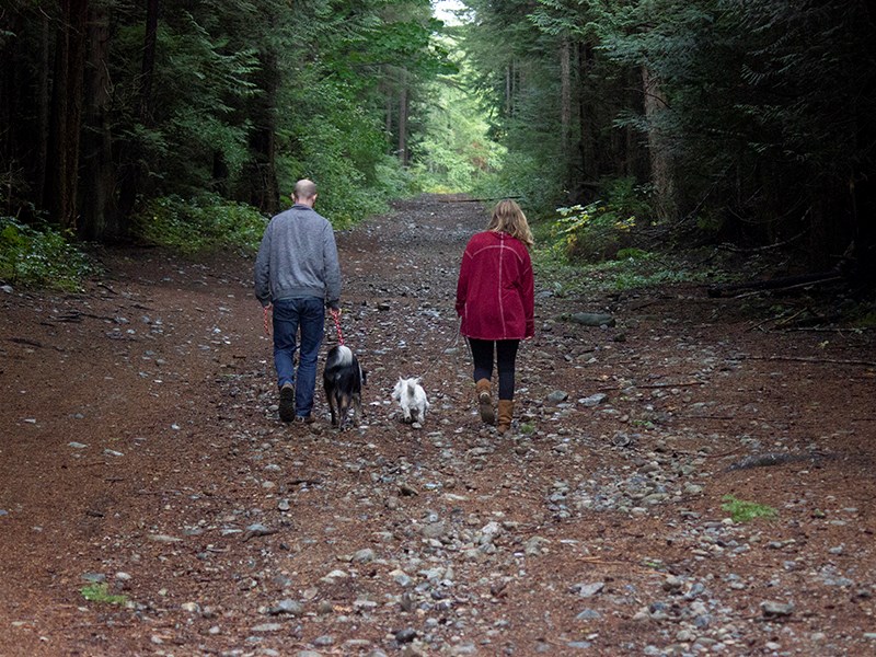 Penticton Trails in Powell River