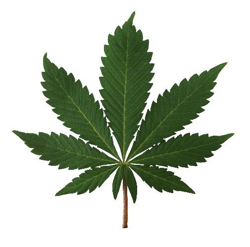 pot-legalization.13_9122018.jpg