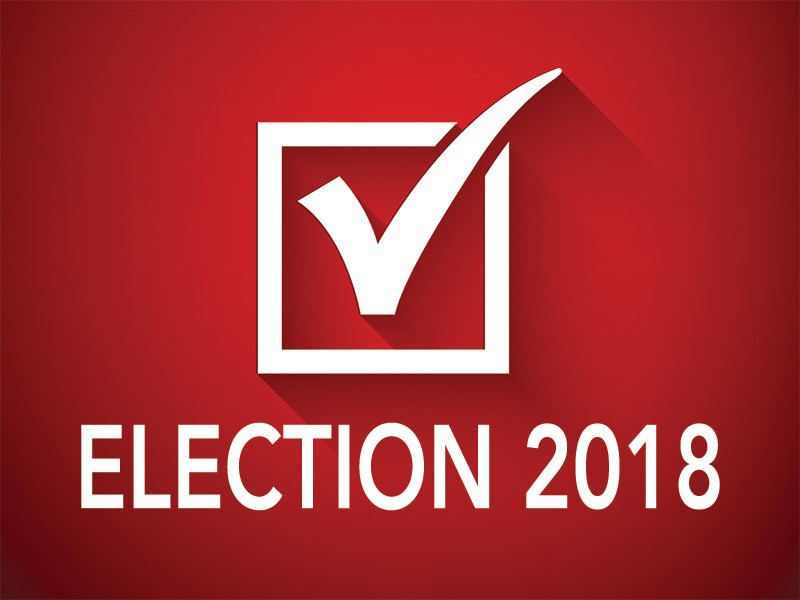 Powell River election