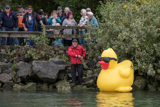 tour de duck