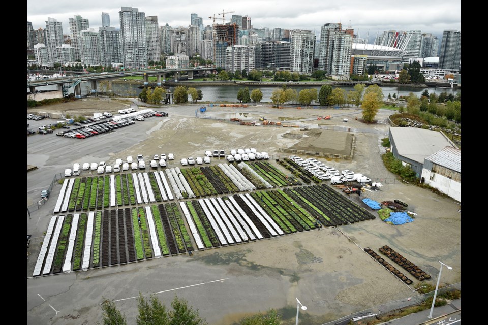 The 52-unit temporary modular housing complex for the homeless that will be situated at 265 West First will be neighbours with Sole Food’s Olympic Village Farm. Sole Food is working with the city and BC Housing on potential links between urban farming and the modular building. Photo Dan Toulgoet