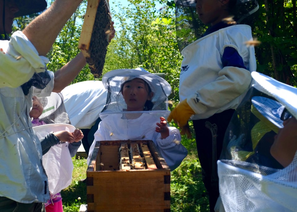 community foundation bee camp