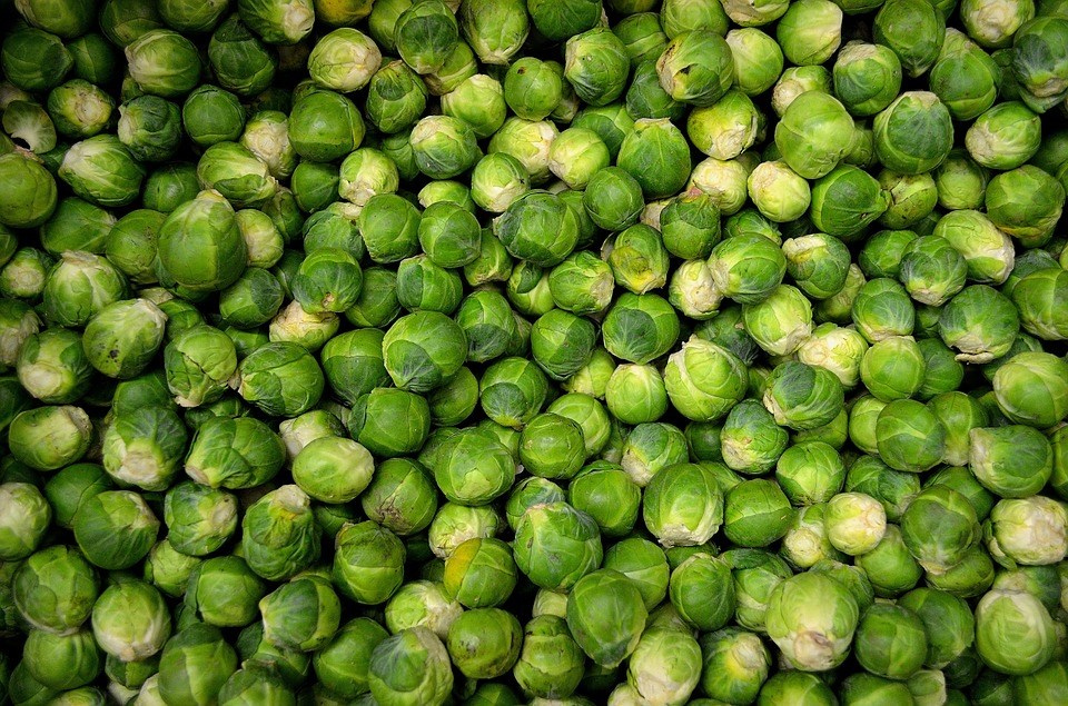 sprouts