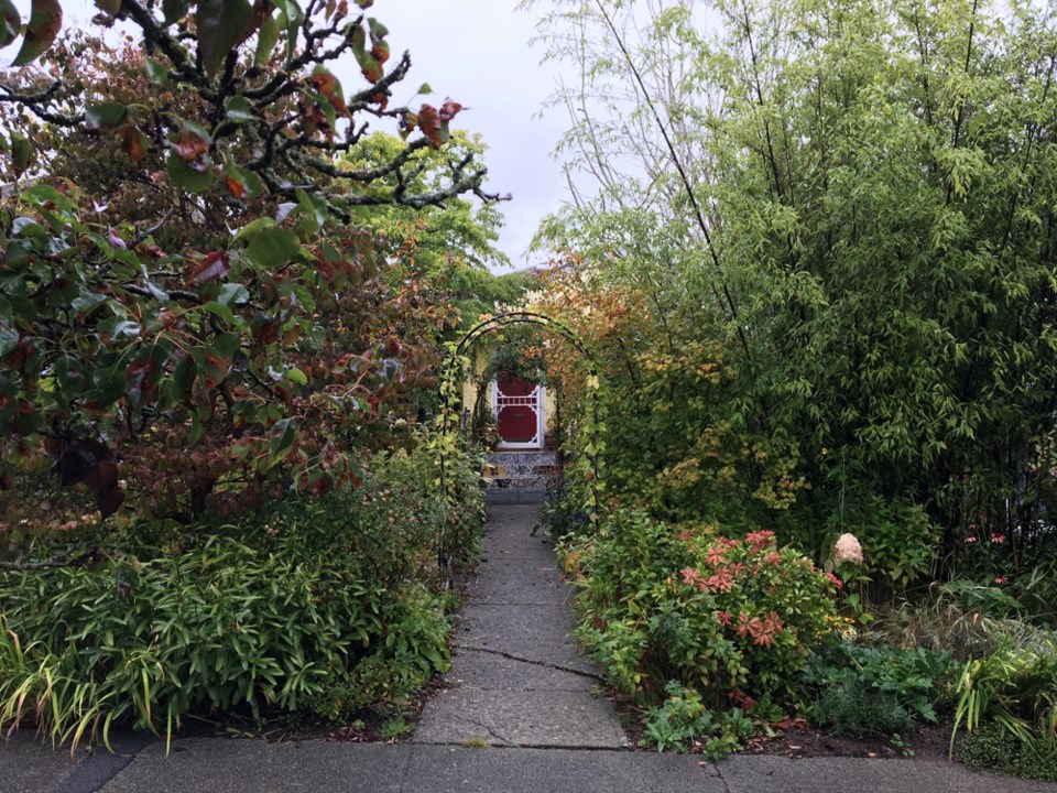 A pollinator garden is an environmentally friendly alternative to maintaining a lawn. Photo Grant La