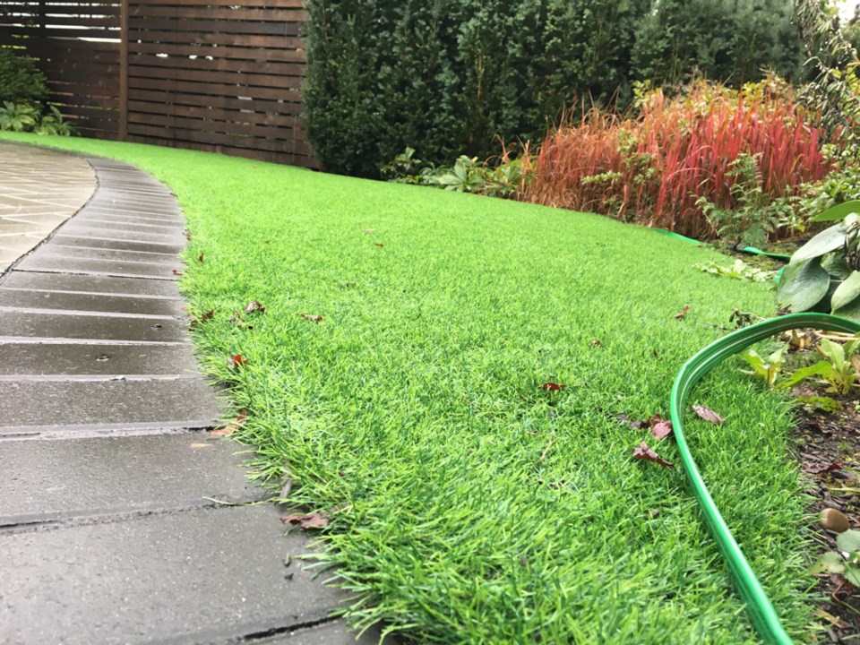 Fake lawns have grown in popularity in Vancouver due to chafer beetles and scorching summers. Photo