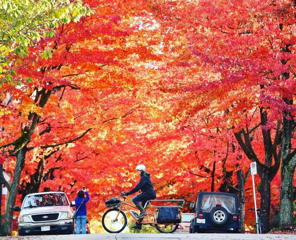 Sunny autumn skies brighten this week’s forecast. Photo Dan Toulgoet