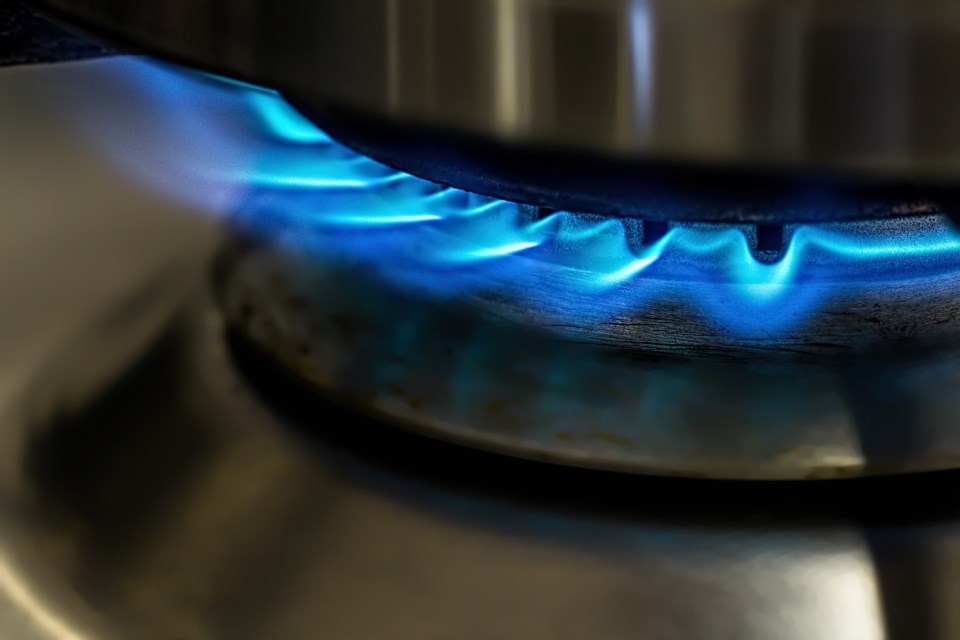 gas stove Fortis
