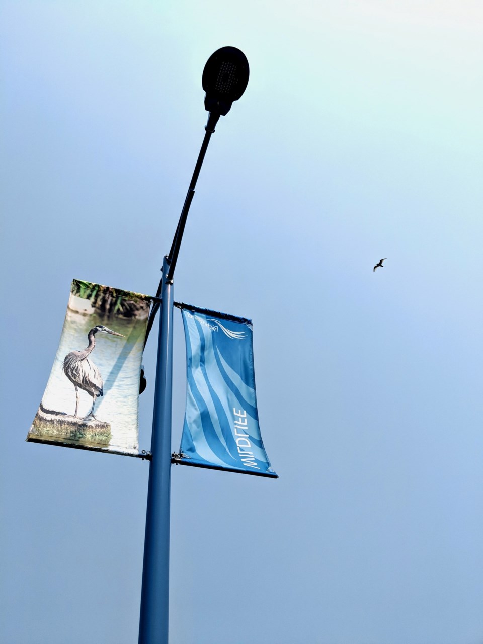 street banner