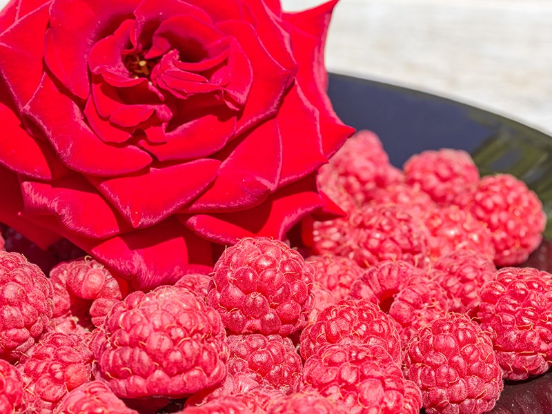 Roses and Raspberries Powell River