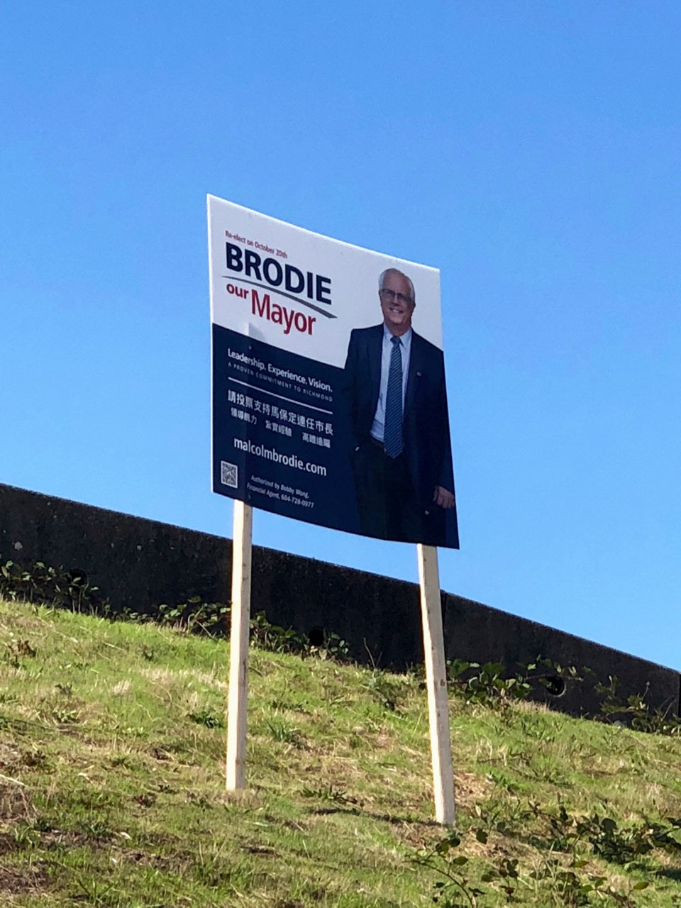 Election Sign