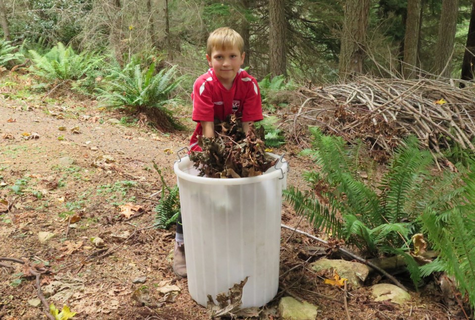 Kian Bristowe, 7, collects fall leaves for composting.