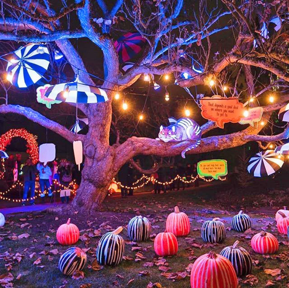 VanDusen Botanical Garden hosts the Hänsel and Gretel-inspired Glow in the Garden, Oct. 19 to 31.