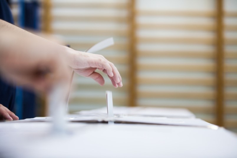 Voter