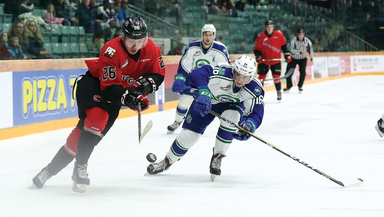 Prince George Cougars foward Reid Perepeluk tries to control the bouncing puck while being checked by Swift Current Broncos forward Matthew Culling on Sunday afternoon at CN Centre. Citizen Photo by James Doyle