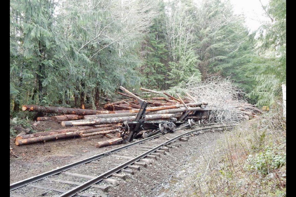 Aftermath of derailment: A faulty coupler, the mechanism that connects rail cars, caused 11 cars loaded with logs to detach from the spotting line and roll freely toward the community of Woss.