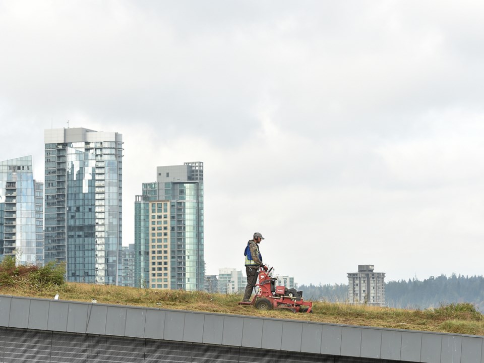 green roof