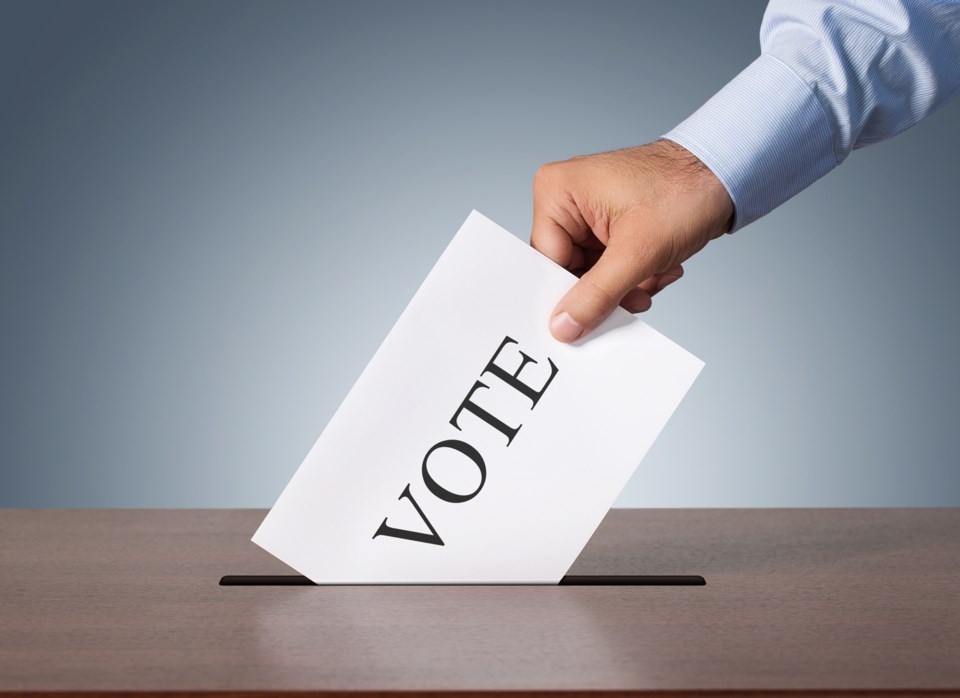 vote, stock photo