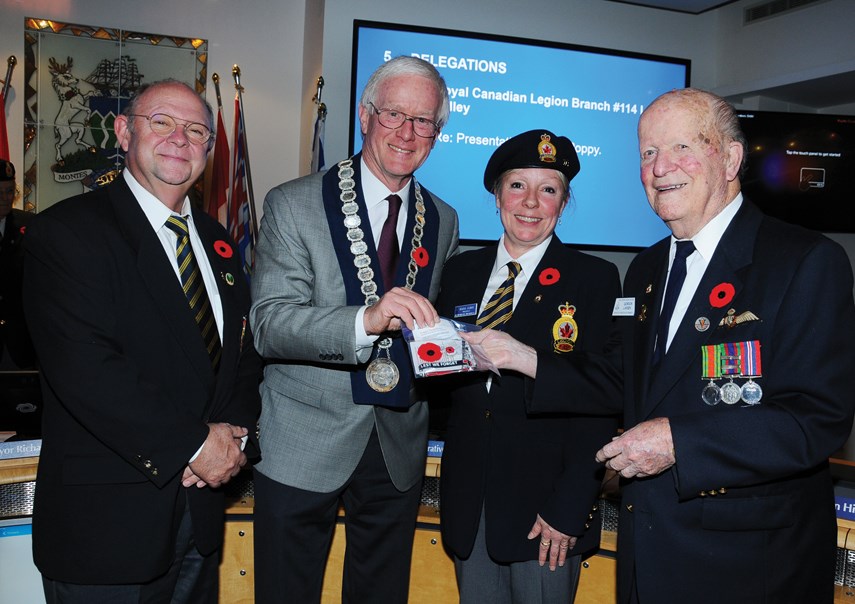 Poppy Presentation