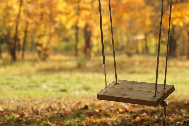 Swing