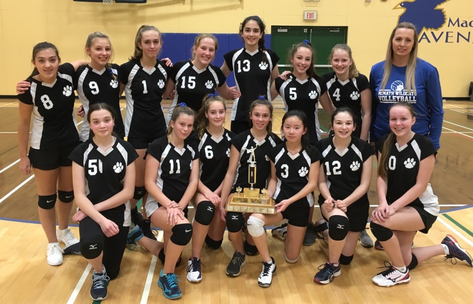 volleyball