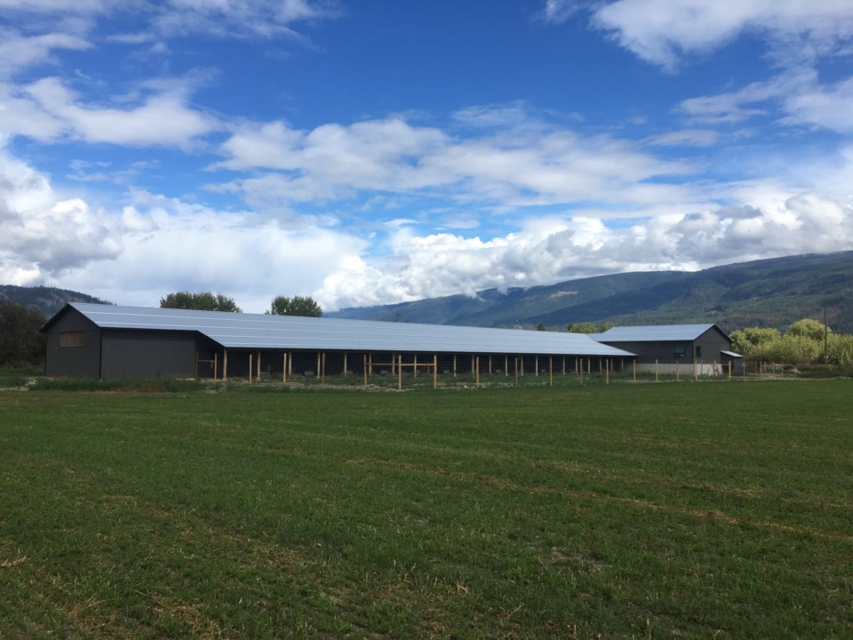 Okanagan Riverbend Poultry