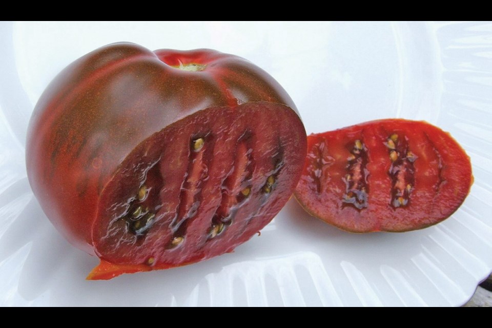 The dark flesh of the Japanese Black Trifele tomato has a deep, rich flavour.