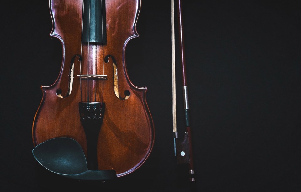 violin, stock photo