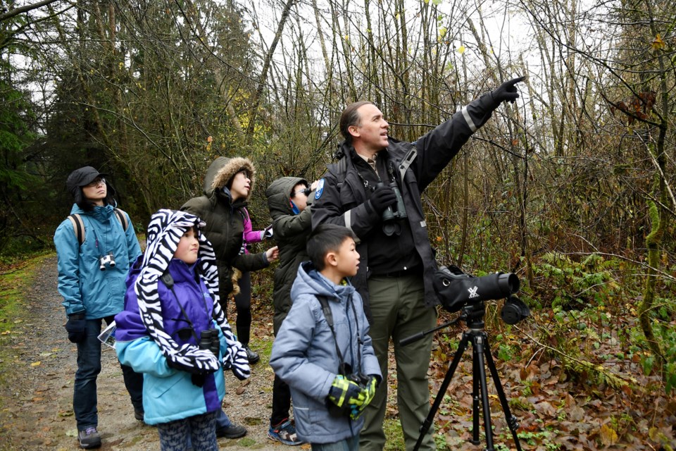 Christmas Bird Count for Kids, Burnaby Lake