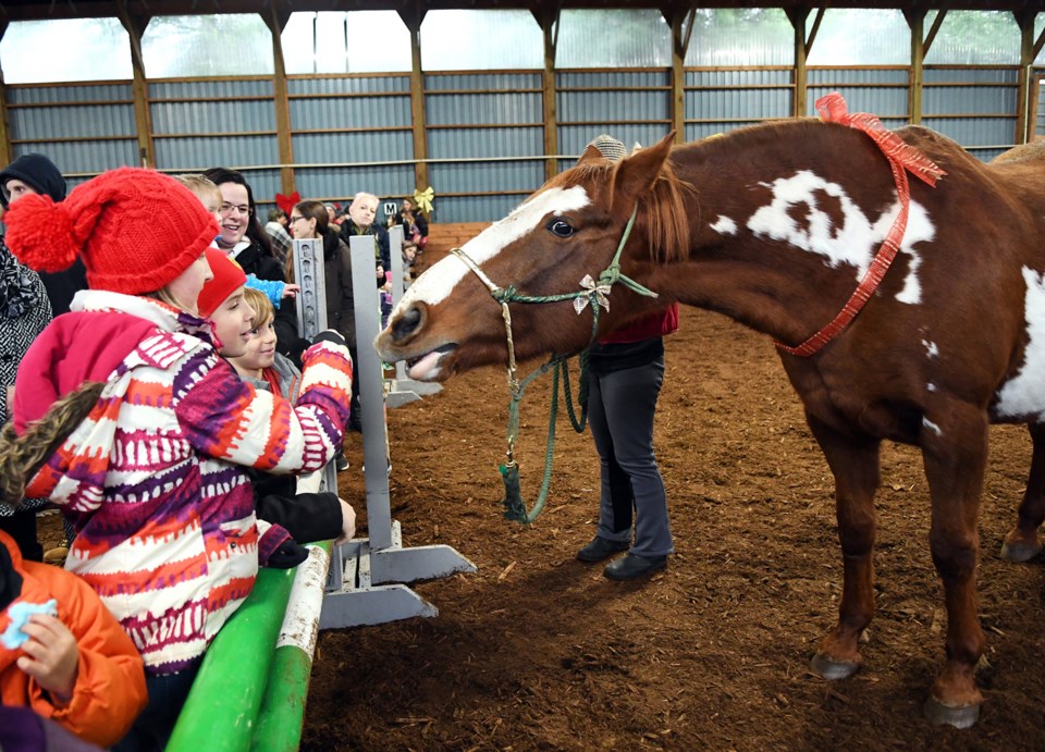 Burnaby Horsemen's Association