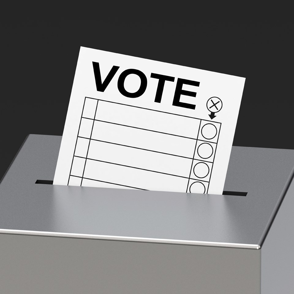 vote ballot election