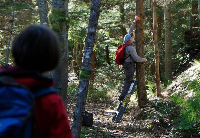 Karl Schimann (on ladder) and Monique Schimann (foreground) participate in BITS’ work party.